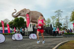 BIB: 
                            <button type="button" onclick="openModal(26529079)" class="btn btn-primary btn-sm float-right btn-popup" data-toggle="modal" data-target=".modal-high-quality">
                        <i class="fas fa-shopping-cart"></i> Add to Cart
                    </button>
                                            <button type="button" onclick="isThisMe(26529079, true)" class="btn btn-success btn-sm float-right btn-popup btn-isme hidden" data-toggle="tooltip" data-placement="bottom" title="นี่คือรูปของคุณใช่ไหม คลิกที่นี่เพื่อเอาเข้าอัลบั้ม">
                        <i class="fas fa-plus"></i> Add to album
                    </button>
                    <button type="button" onclick="isThisMe(26529079, false)" class="btn btn-warning btn-sm float-right btn-popup btn-isnotme hidden">
                        <i class="fas fa-ban"></i> Remove from album
                    </button>